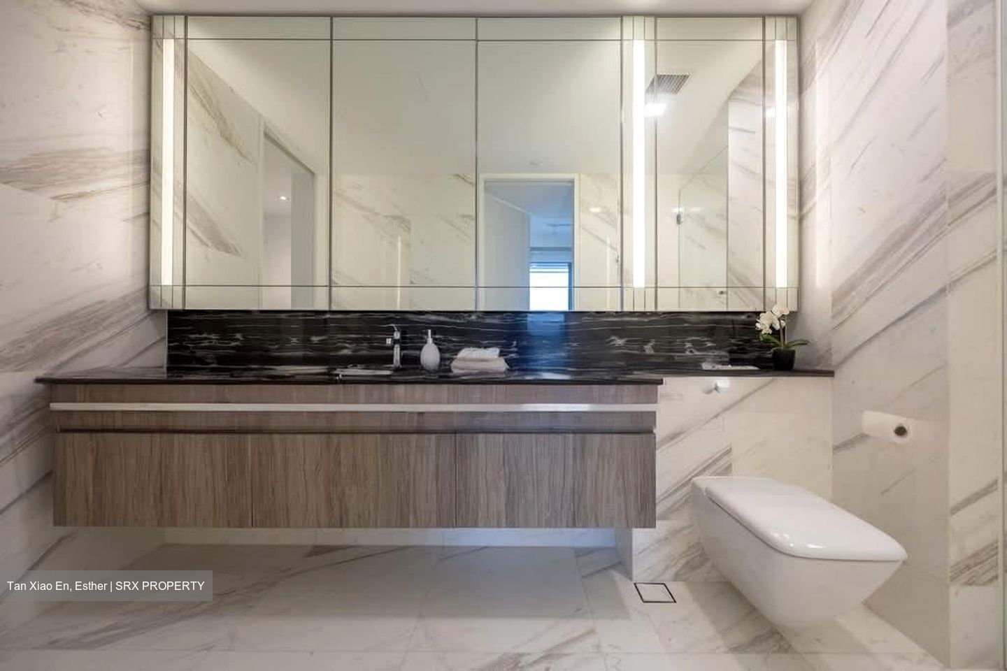 Wallich Residence  (D2), Condominium #558403481